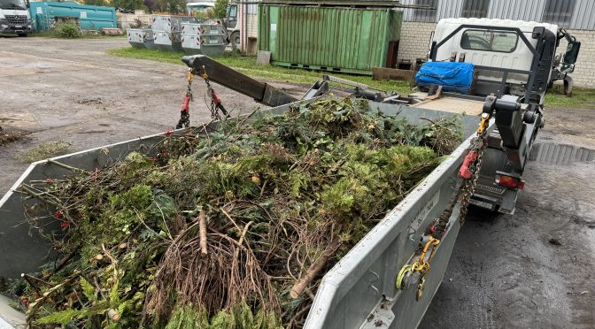 Gartenabfall-Container-Sommerangebot